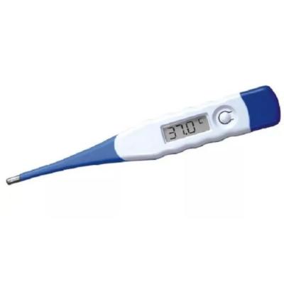 Digital-Thermometer